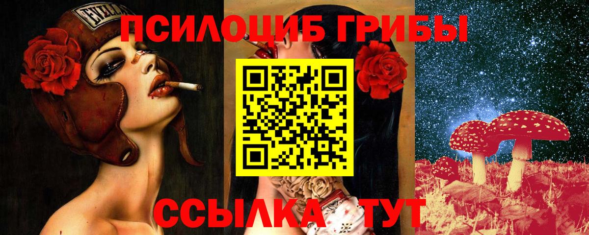 Кинель  Галлюциногенные грибы GOLDEN TEACHER  Вход с VPN  Псилоцибиновые грибы прущие грибы 