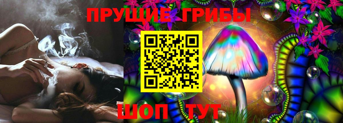 Галлюциногенные грибы Psilocybe  Кинель  Псилоцибиновые грибы Cubensis 